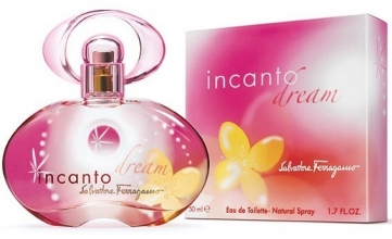 Salvatore Ferragamo Incanto Dream, 100 ml фото