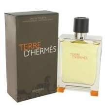 Hermes Terre DHermes от Hermes for Men 100 ml фото